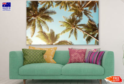 Palm Trees & Sky View Photograph Print 100% Australian Made