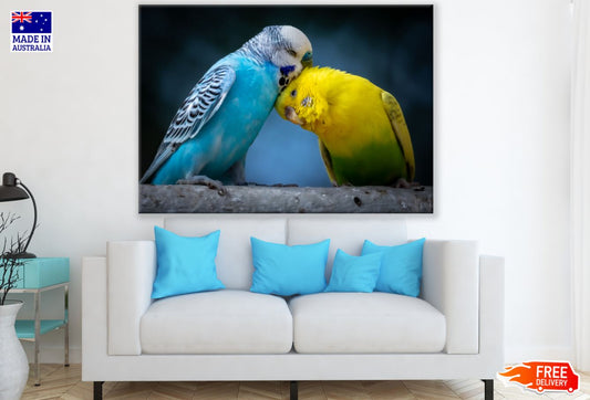 Love Birds Closeup Photograph Print 100% Australian Made