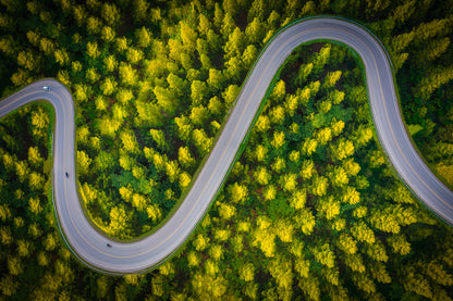 Road in Pine Forest Aerial View Home Decor Premium Quality Poster Print Choose Your Sizes