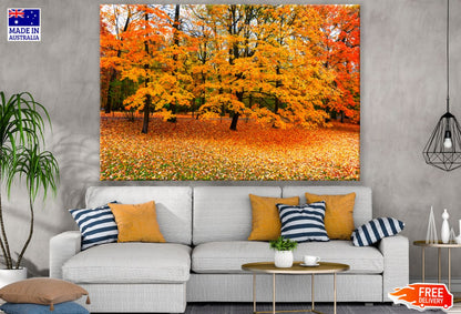 Yellow Autumn Forest Photograph Print 100% Australian Made