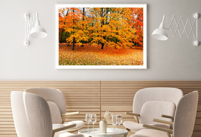 Yellow Autumn Forest Photograph Home Decor Premium Quality Poster Print Choose Your Sizes