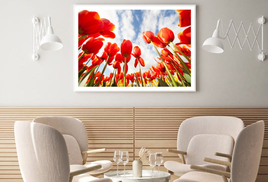 Red Tulip Flower Field Photograph Home Decor Premium Quality Poster Print Choose Your Sizes