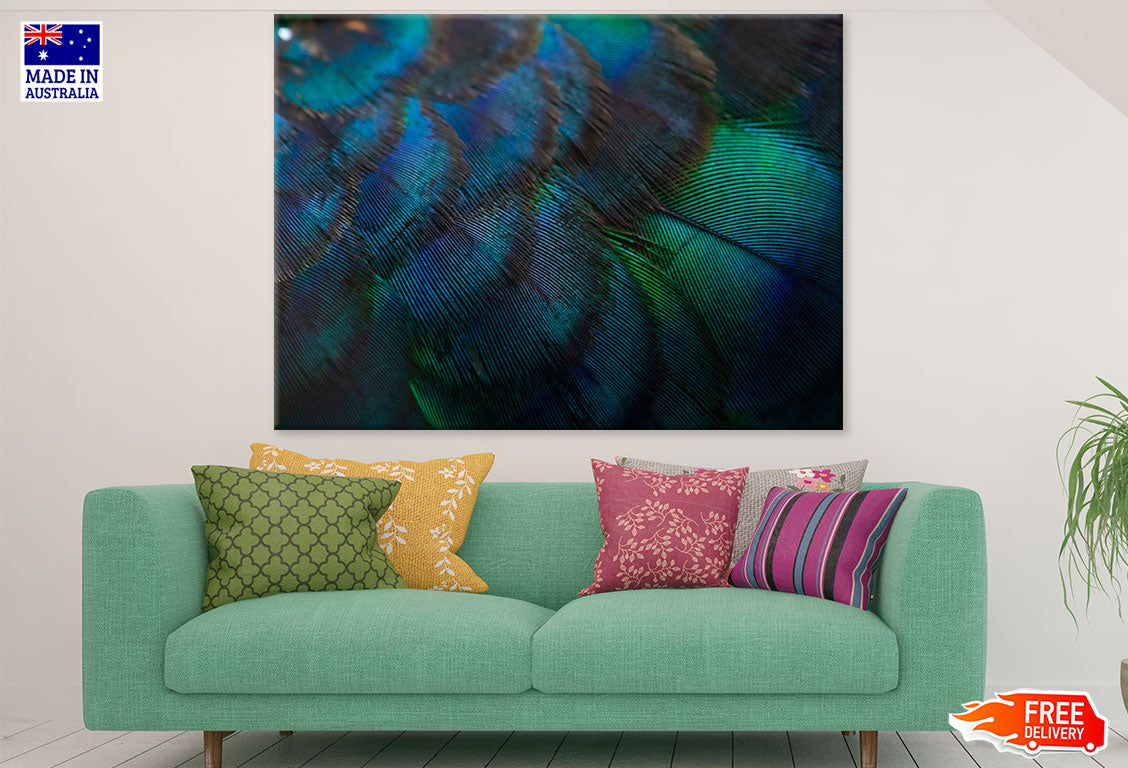 Colorful Feathers Closeup Photograph Print 100% Australian Made