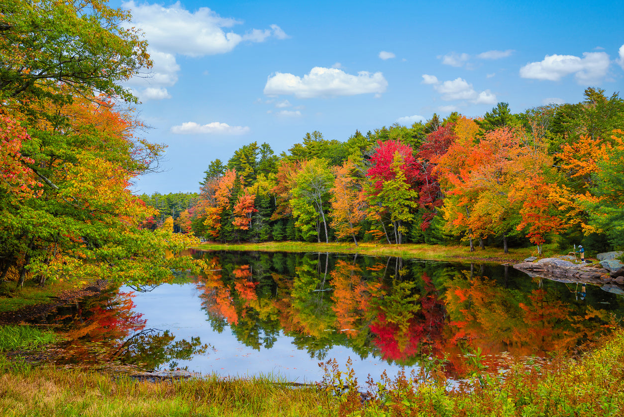 Lake & Autumn Forest Photograph Print 100% Australian Made