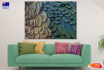 Colorful Feathers Closeup Photograph Print 100% Australian Made