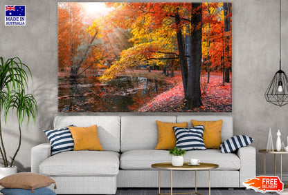 Pond in Autumn Forest Photograph Print 100% Australian Made