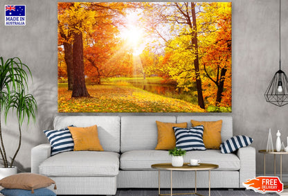 Autumn Forest & River Photograph Print 100% Australian Made