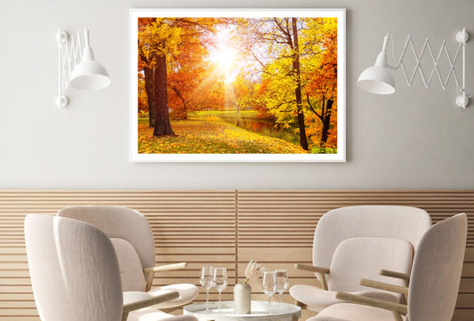 Autumn Forest & River Photograph Home Decor Premium Quality Poster Print Choose Your Sizes