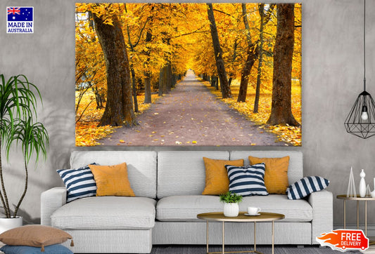 Road in Autumn Forest Photograph Print 100% Australian Made