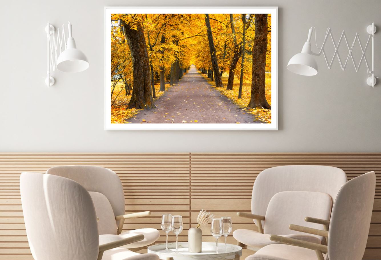 Road in Autumn Forest Photograph Home Decor Premium Quality Poster Print Choose Your Sizes