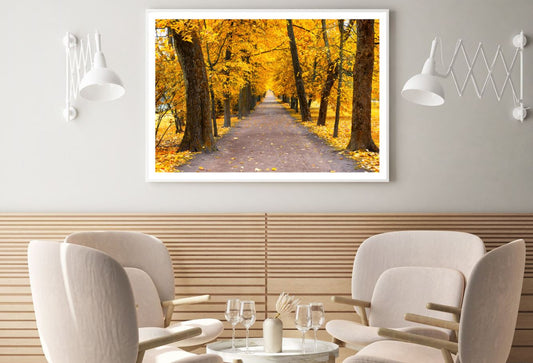 Road in Autumn Forest Photograph Home Decor Premium Quality Poster Print Choose Your Sizes