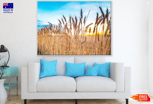 Wheat Field Sunset Photograph Print 100% Australian Made