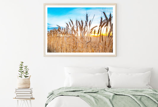 Wheat Field Sunset Photograph Home Decor Premium Quality Poster Print Choose Your Sizes