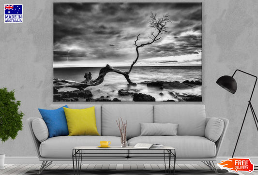 Dead Tree on Sea B&W Photograph Print 100% Australian Made