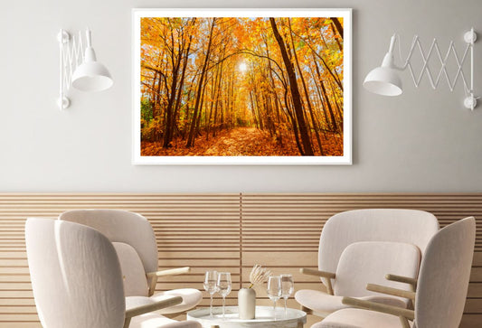 Forest Sunset Scenery Photograph Home Decor Premium Quality Poster Print Choose Your Sizes