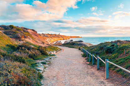 Path to Sea on Mountain View Print 100% Australian Made