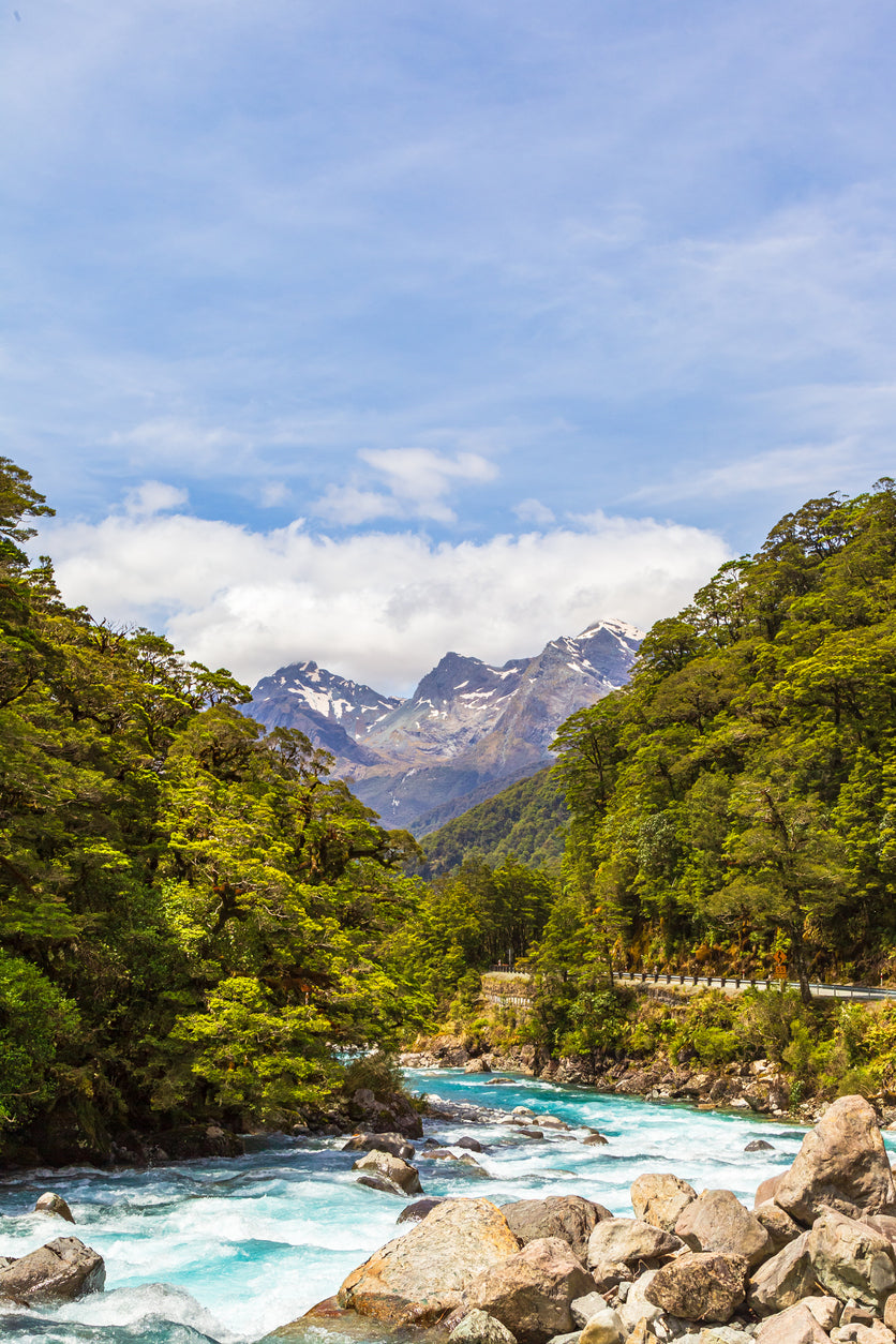 River in Forest Photograph Home Decor Premium Quality Poster Print Choose Your Sizes