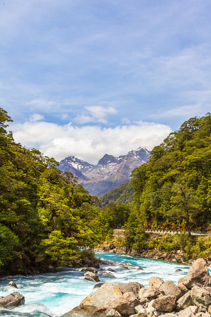 River in Forest Photograph Home Decor Premium Quality Poster Print Choose Your Sizes