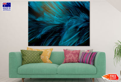 Colorful Feathers Closeup Photograph Print 100% Australian Made