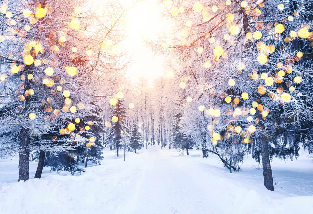 Snow Covered Forest Photograph Print 100% Australian Made