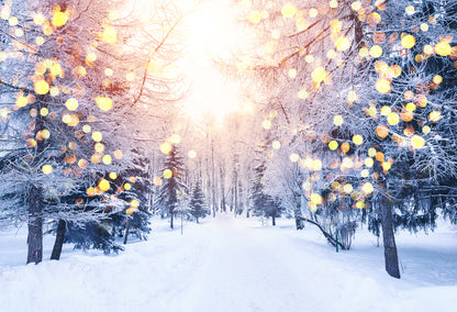 Snow Covered Forest Photograph Print 100% Australian Made