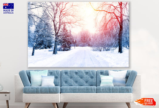 Snow Covered Forest Photograph Print 100% Australian Made