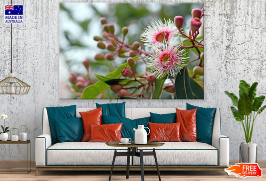 Flowers Closeup Photograph Print 100% Australian Made