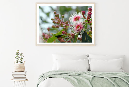 Flowers Closeup Photograph Home Decor Premium Quality Poster Print Choose Your Sizes