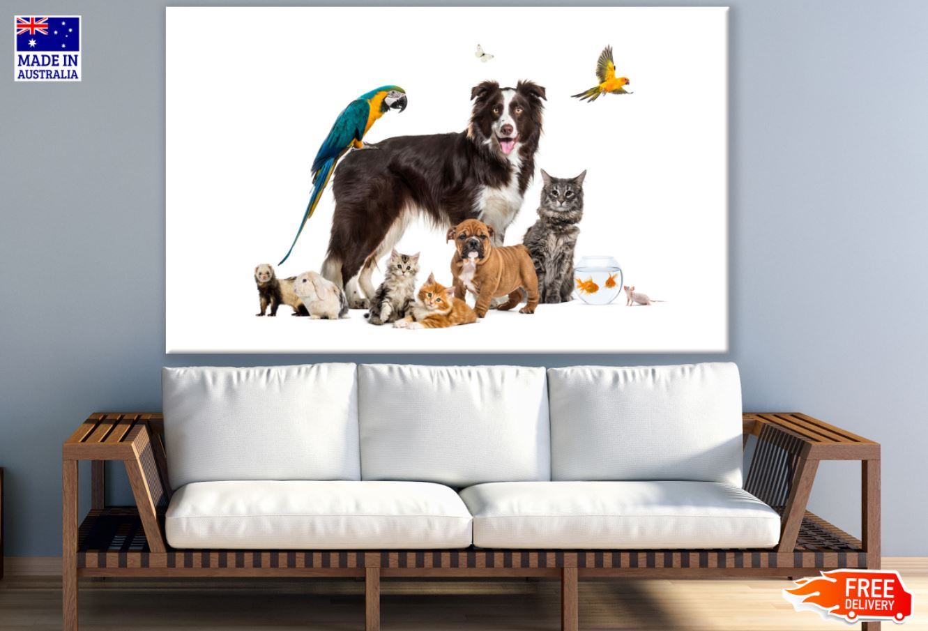 Dog Cats & Birds Photograph Print 100% Australian Made