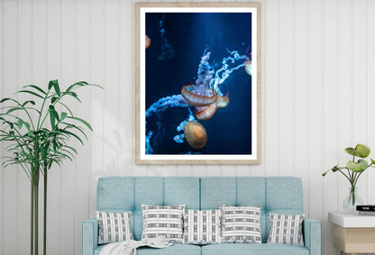 Jelly Fish Underwater Photograph Home Decor Premium Quality Poster Print Choose Your Sizes