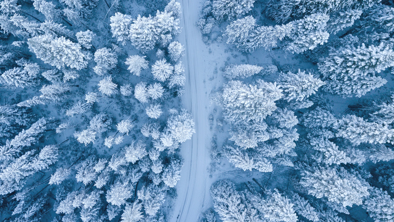 Snow Covered Pine Forest Aerial Print 100% Australian Made