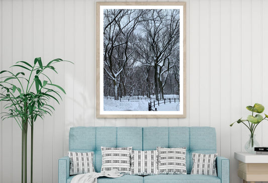Snow Covered Forest Photograph Home Decor Premium Quality Poster Print Choose Your Sizes