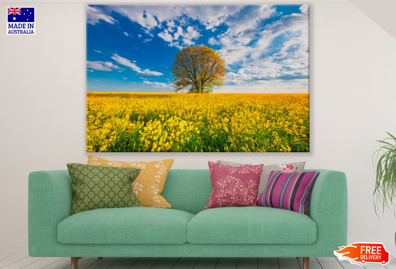 Yellow Flower Field Photograph Print 100% Australian Made