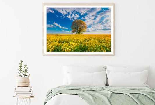 Yellow Flower Field Photograph Home Decor Premium Quality Poster Print Choose Your Sizes