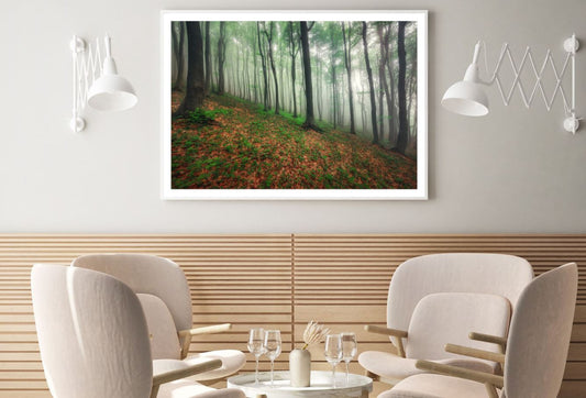 Misty Forest Scenery Photograph Home Decor Premium Quality Poster Print Choose Your Sizes