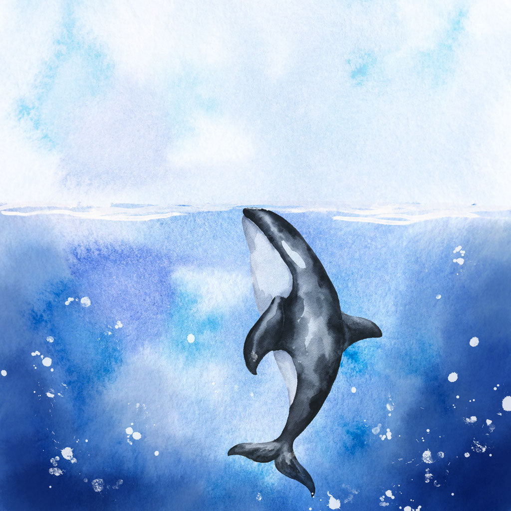 Square Canvas Killer Whale in Sea Painting High Quality Print 100% Australian Made