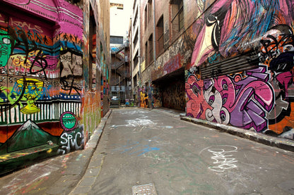 Graffiti Art on City Street Walls Home Decor Premium Quality Poster Print Choose Your Sizes
