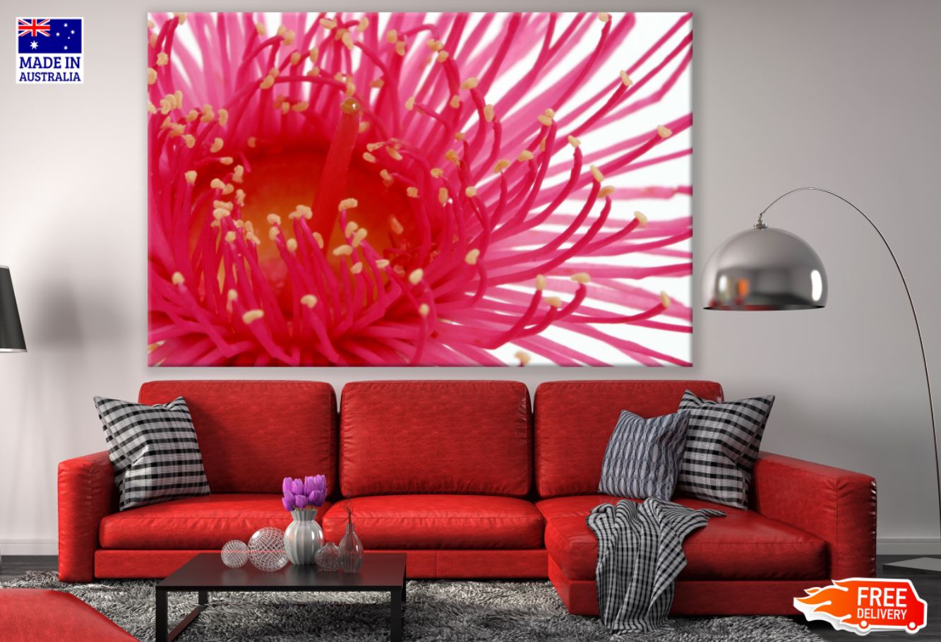Red Flower Macro Photograph Print 100% Australian Made
