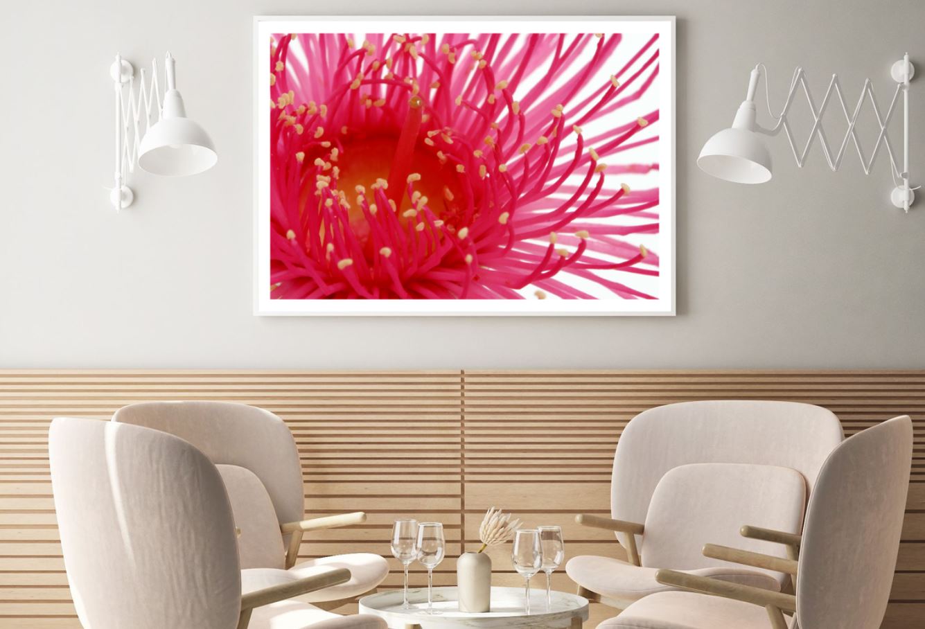 Red Flower Macro Photograph Home Decor Premium Quality Poster Print Choose Your Sizes