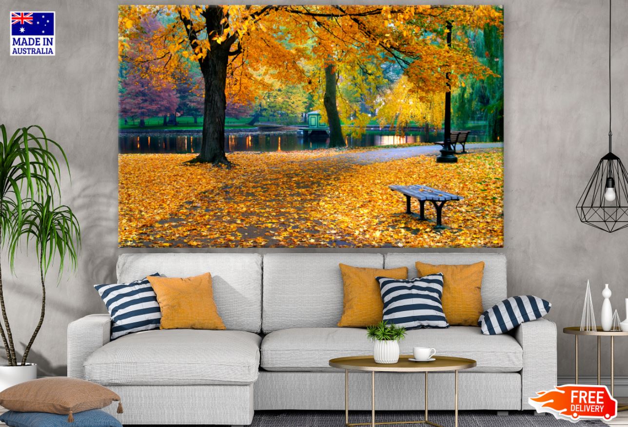 Autumn Tree Park Photograph Print 100% Australian Made