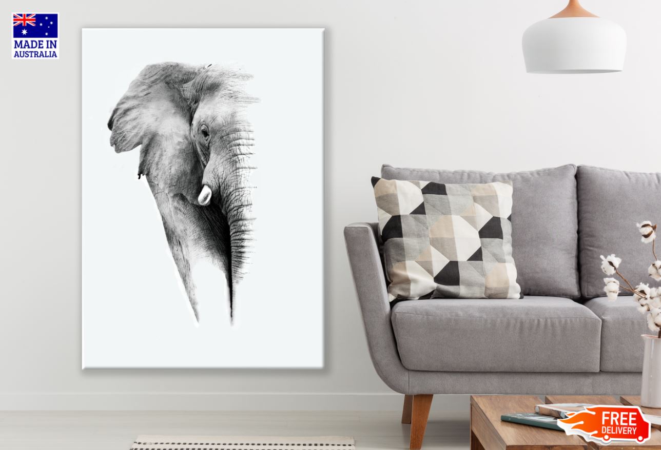 Elephant Portrait B&W Photograph Print 100% Australian Made