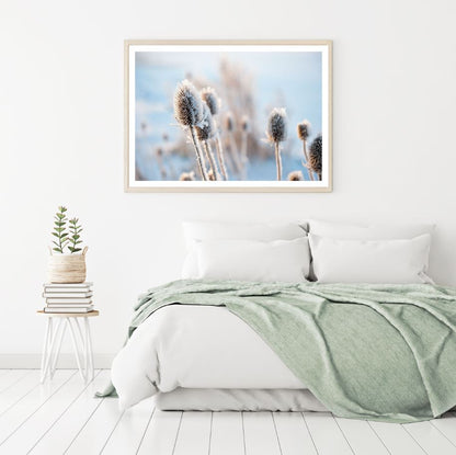 Dry Grass Flower Macro Photograph Home Decor Premium Quality Poster Print Choose Your Sizes