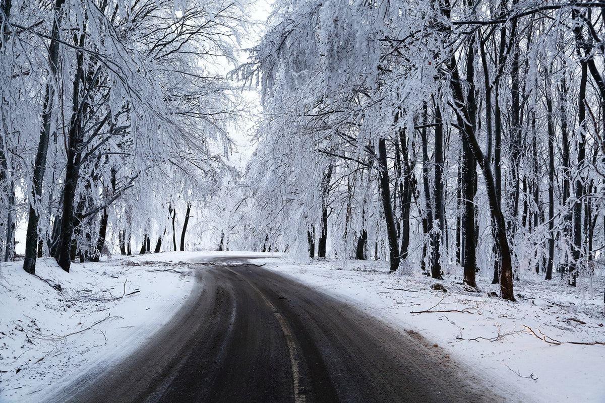 Road in Snow Covered Forest Print 100% Australian Made
