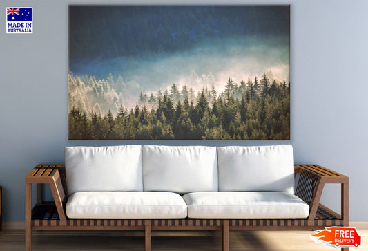 Misty Forest Sky View Photograph Print 100% Australian Made