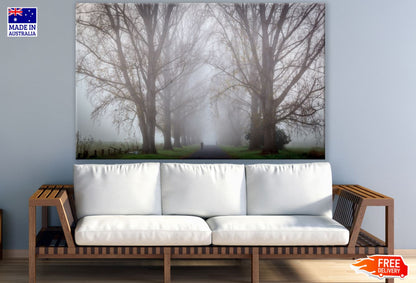 Misty Forest Scenery Photograph Print 100% Australian Made