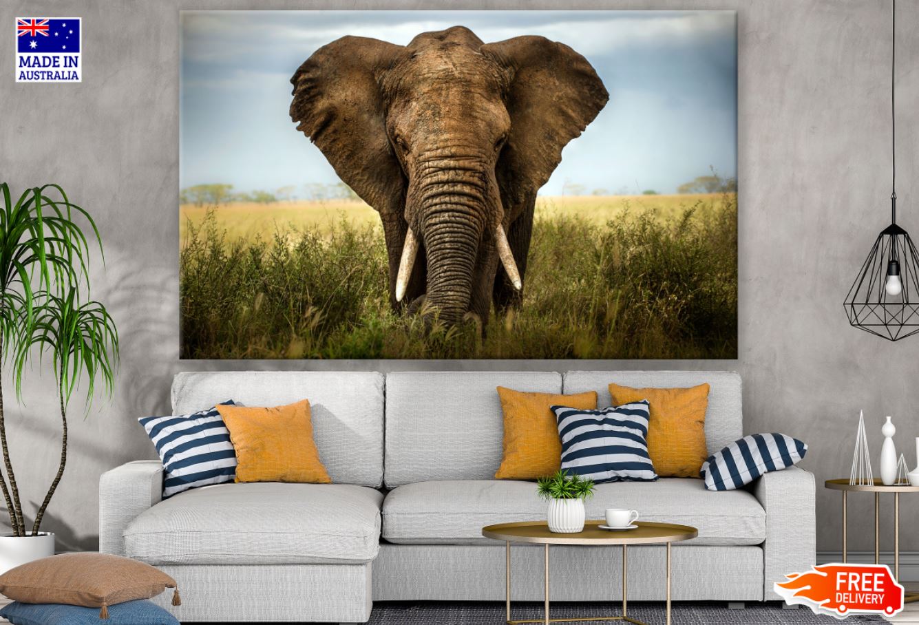 Elephant Portrait Photograph Print 100% Australian Made