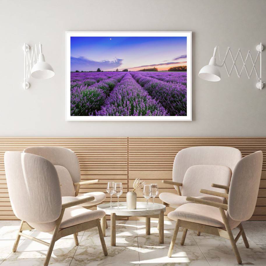 Lavender Field Sunset Photograph Home Decor Premium Quality Poster Print Choose Your Sizes