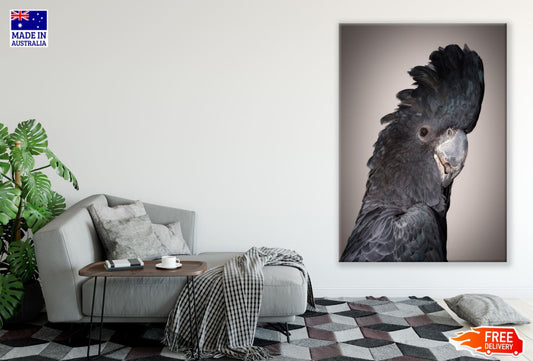 Macaw Bird Portrait Photograph Print 100% Australian Made