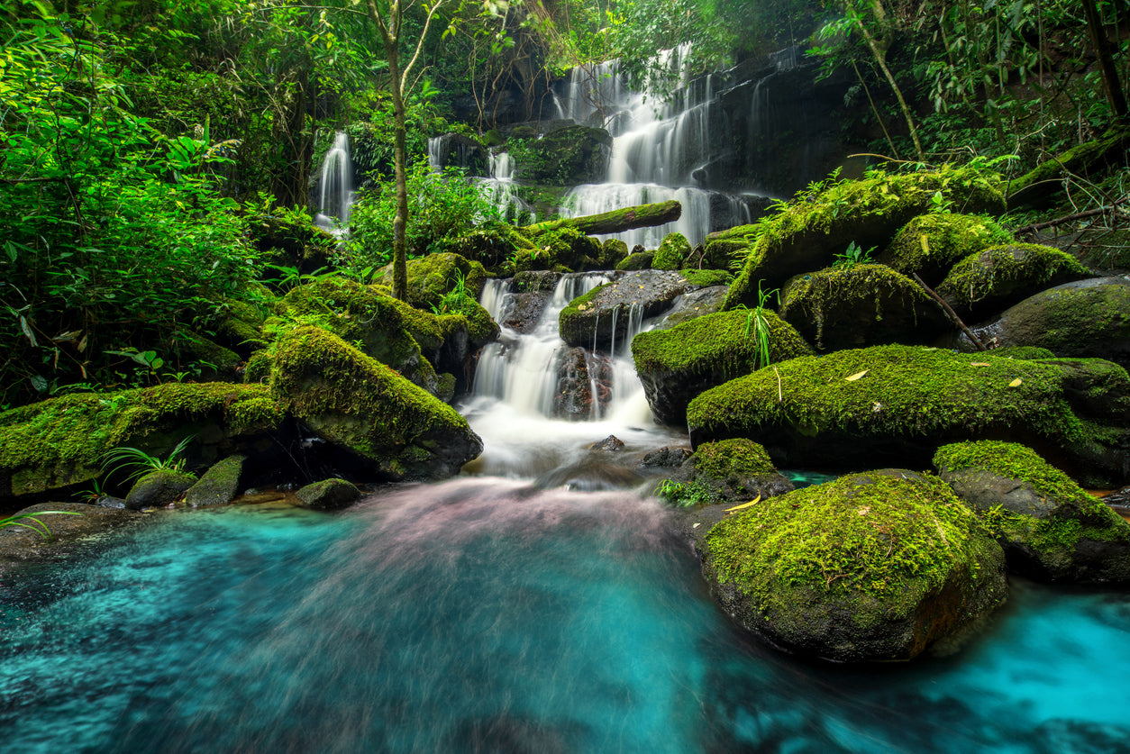 Waterfall Scenery Photograph Print 100% Australian Made