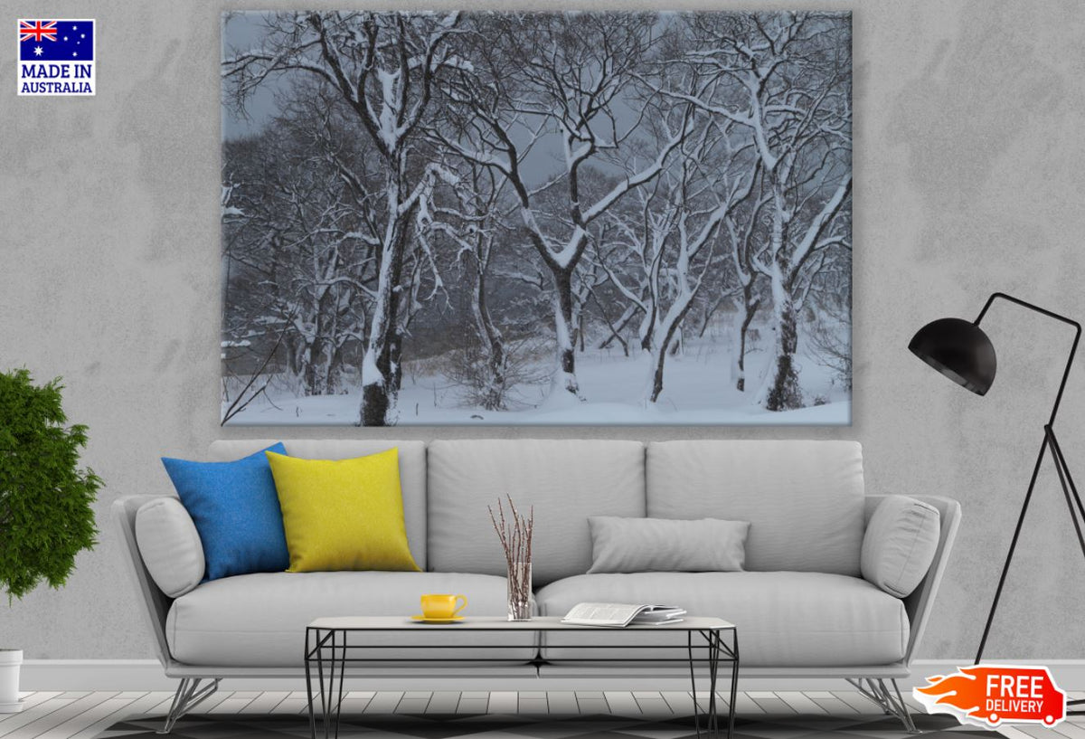 Snow Covered Forest Photograph Print 100% Australian Made